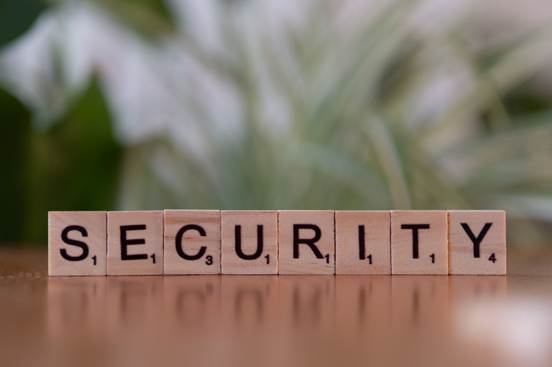 Secure server terminal showing security logging software keys
